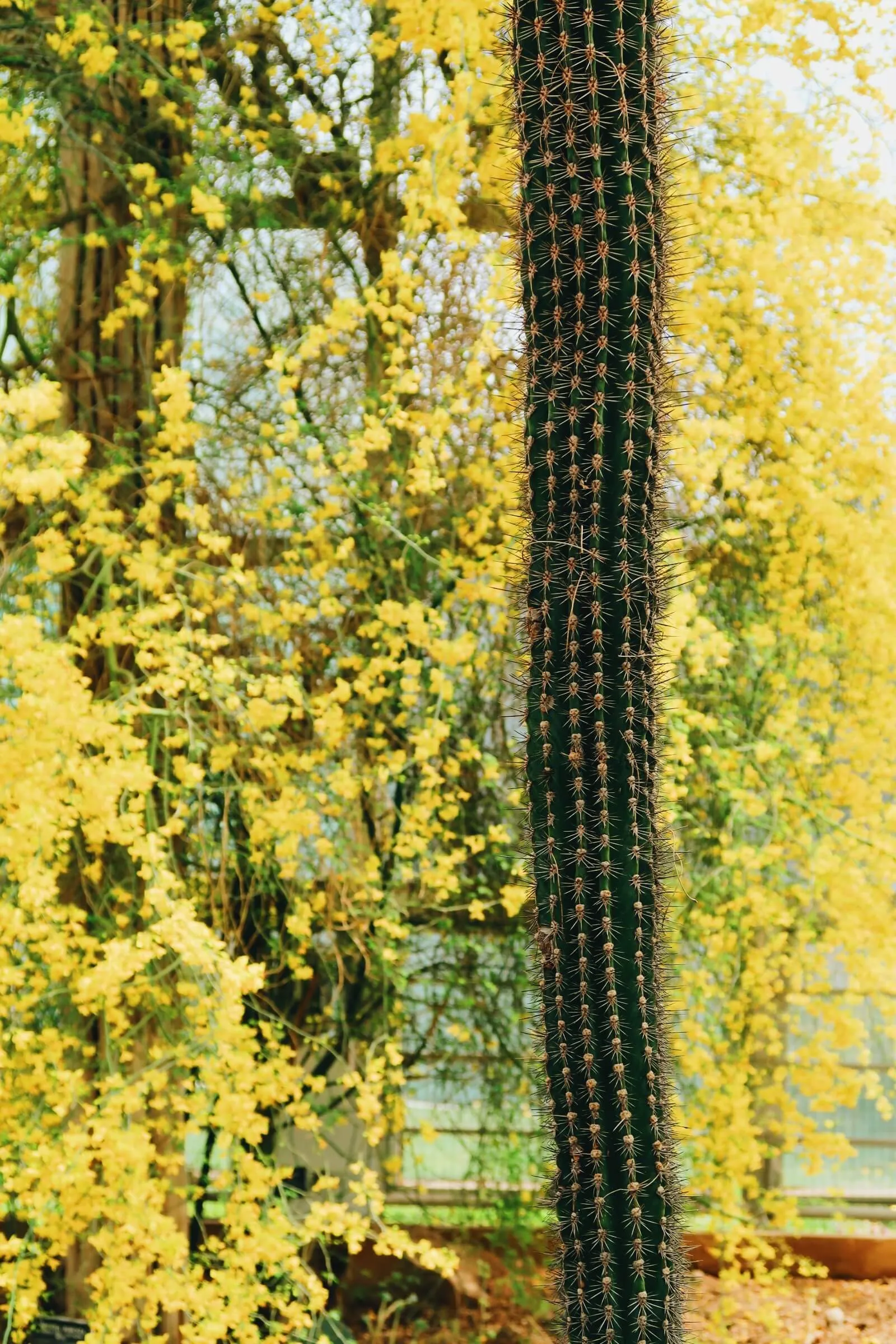 Nature photography by Ariana Escobar